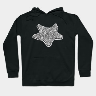 Trigonium quinquelobatum, dinoflagellate, phytoplankton Hoodie